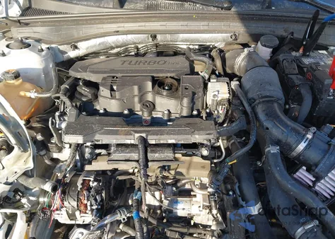 2024 Kia K5 Lxs z USA, uszkodzony, nr VIN 5XXG14J25RG242054